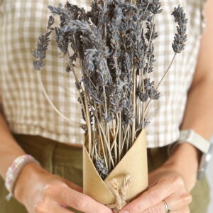 Lavanda
